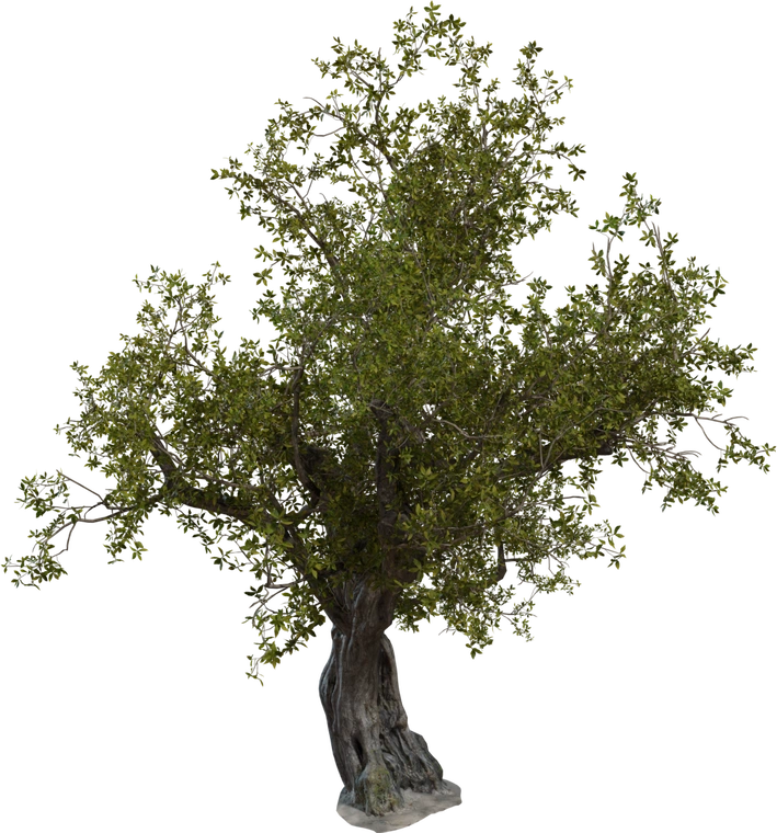 Handcrafted tree model